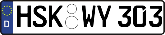 HSK-WY303