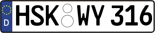 HSK-WY316