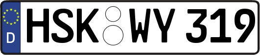 HSK-WY319