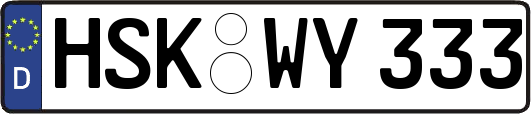 HSK-WY333