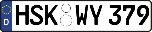 HSK-WY379