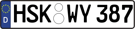 HSK-WY387