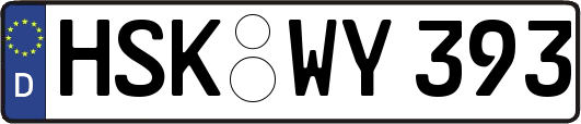 HSK-WY393