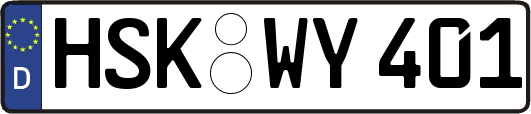 HSK-WY401