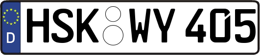 HSK-WY405