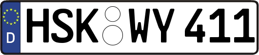 HSK-WY411