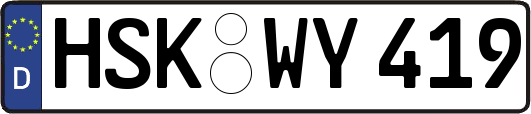 HSK-WY419
