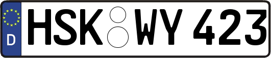 HSK-WY423