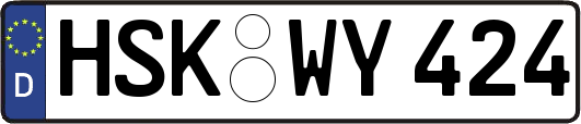 HSK-WY424