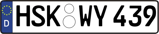 HSK-WY439