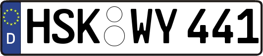HSK-WY441