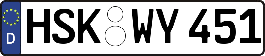HSK-WY451