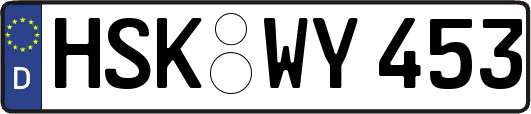 HSK-WY453