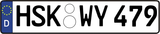 HSK-WY479