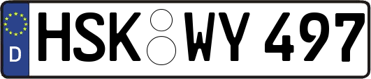 HSK-WY497