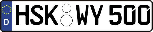 HSK-WY500