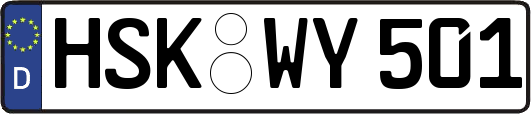 HSK-WY501