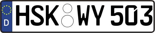 HSK-WY503