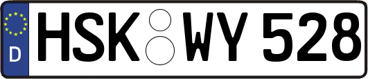 HSK-WY528