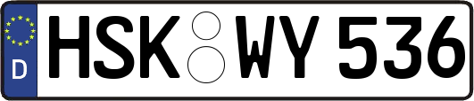 HSK-WY536