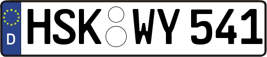 HSK-WY541