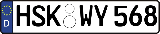 HSK-WY568