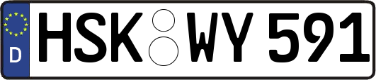 HSK-WY591