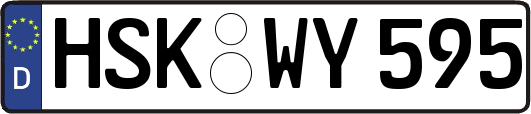 HSK-WY595