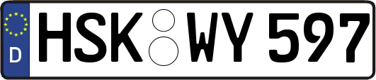 HSK-WY597