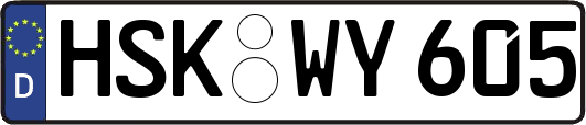 HSK-WY605
