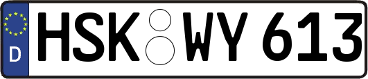HSK-WY613