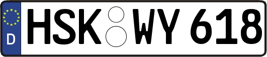 HSK-WY618