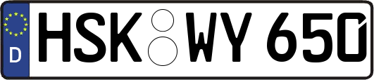 HSK-WY650