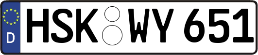 HSK-WY651