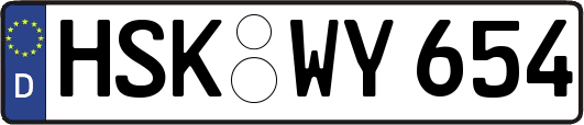 HSK-WY654