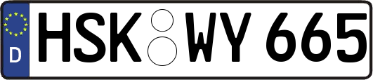 HSK-WY665