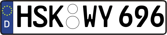 HSK-WY696