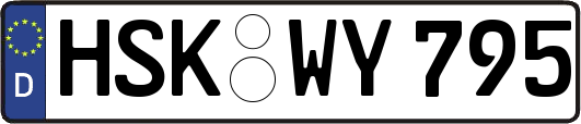 HSK-WY795