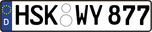 HSK-WY877