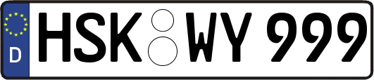 HSK-WY999
