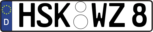 HSK-WZ8