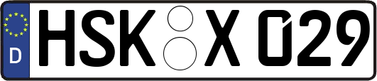 HSK-X029