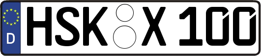 HSK-X100