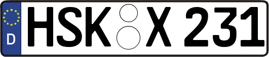 HSK-X231