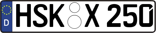 HSK-X250
