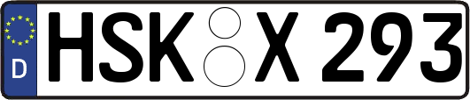HSK-X293
