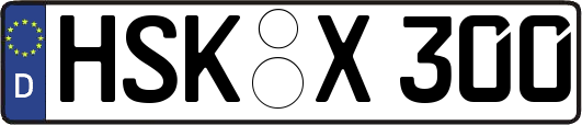 HSK-X300