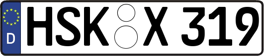 HSK-X319