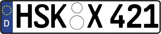 HSK-X421