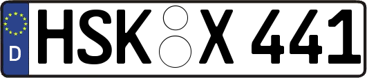 HSK-X441
